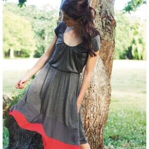 BODEN Napoli Elastic Waist Gray Red Scoop Neck Flare Mini Dress Size 4